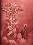 thumbnail of Christ on Cross by Gustave Dore