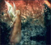 thumbnail of Angel by Robertson